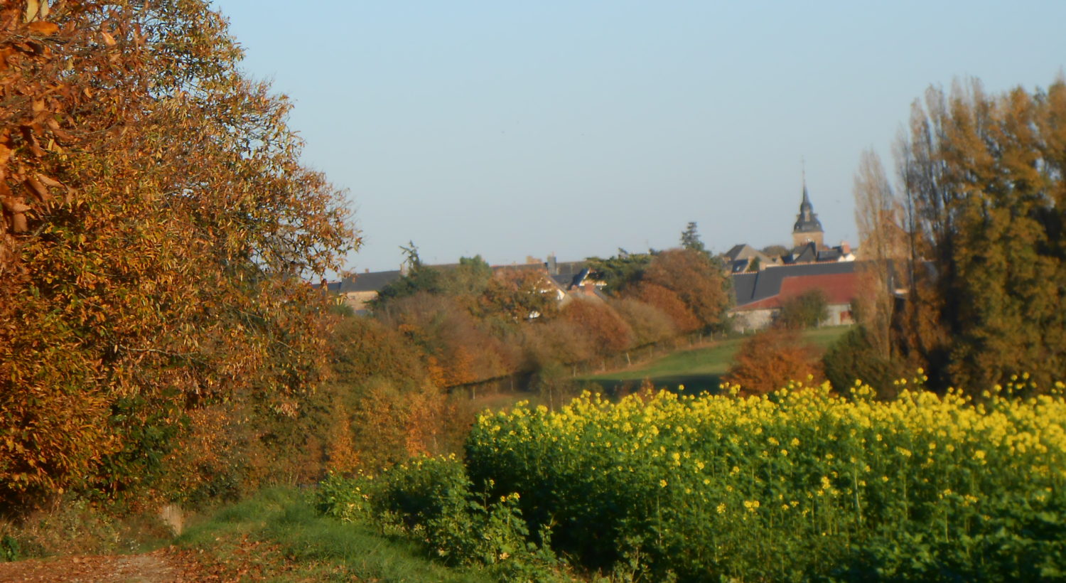 Vue Louvigné-de-Bais