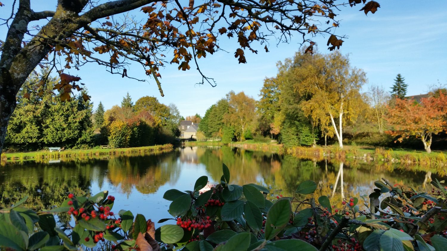 Plan d'eau Brielles