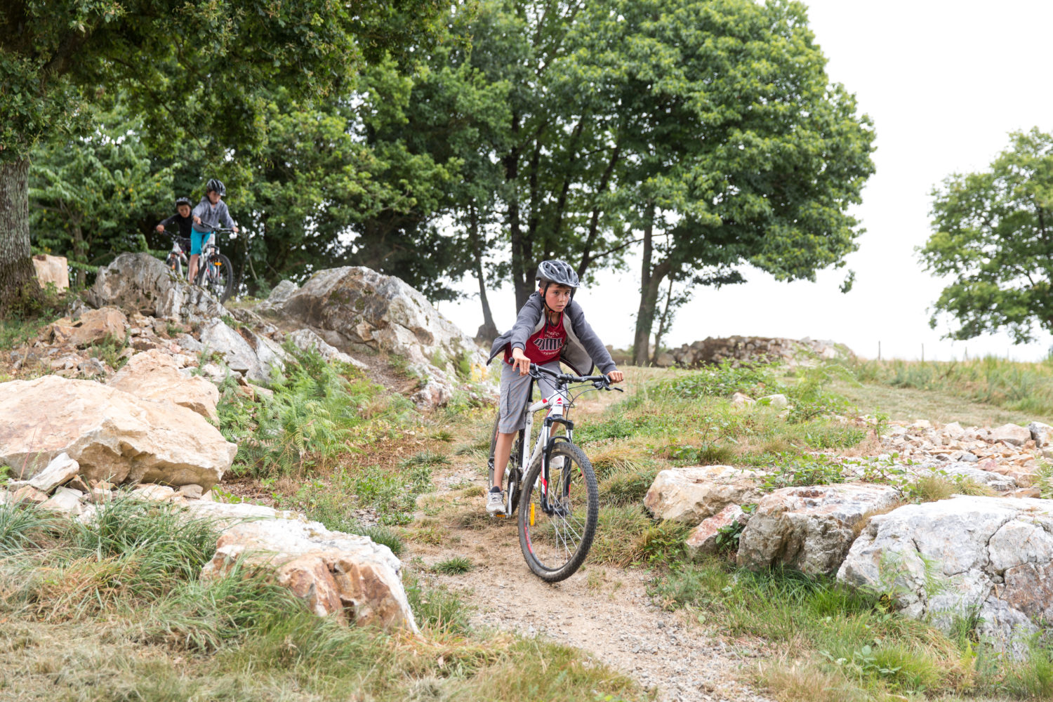 VTT